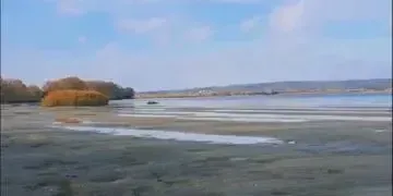 На Дніпропетровщині розгортається екологічна катастрофа