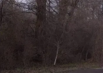 У Кам’янському знайшли чоловіка, який чотири місяці тому зник з ТЦК