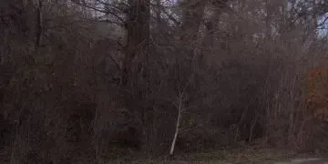 У Кам’янському знайшли чоловіка, який чотири місяці тому зник з ТЦК