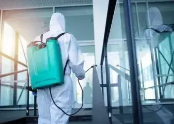 Комплексний підхід до контролю шкідників в торгових мережах