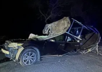 Під Кривим Рогом Infiniti розбилося об дерево: є загиблий