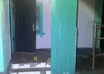 У Кривому Розі затримали чоловіка, якого підозрюють у кривавому вбивстві та підпалі