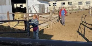На Дніпропетровщині влаштували трудове рабство