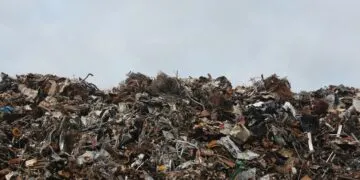 Екологічна відповідальність бізнесу: як законно працювати з відходами та викидами в Україні