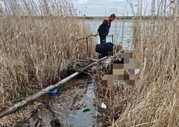 Зниклу 20-річну дівчину на Дніпропетровщині знайшли мертвою: що відомо