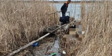 Зниклу 20-річну дівчину на Дніпропетровщині знайшли мертвою: що відомо
