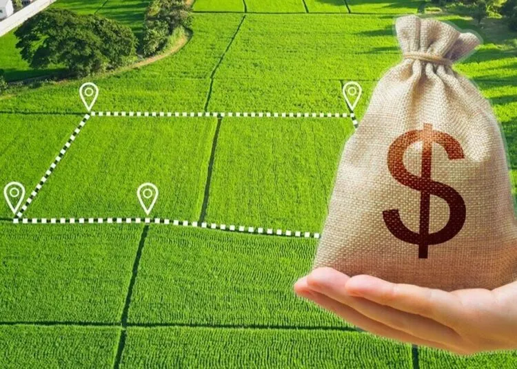 Земельна афера на 8 гектарів: у Дніпрі викрили чоловіка, який вкрав пай у громади