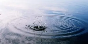 На Дніпропетровщині рибалка знайшов мертву жінку: що відомо