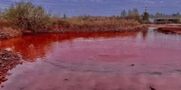 На Дніпропетровщині знайшли рожеве озеро