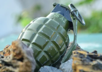 Погрожував гранатою: у Кривому Розі затримали озброєного чоловіка