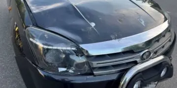 Дівчинка померла на місці: поліція затримала водія за смертельний наїзд у Кривому Розі