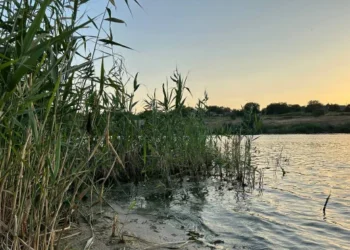 На Дніпропетровщині в ставку біля дамби потонула 9-річна дитина
