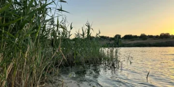 На Дніпропетровщині в ставку біля дамби потонула 9-річна дитина