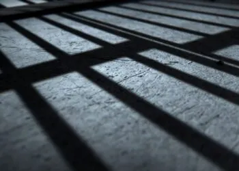 У Дніпрі на 8 років посадили пенсіонера, який чіплявся до підлітка в парку