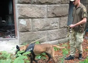 У Дніпрі чоловік палицею забив до смерті свого знайомого в покинутій будівлі