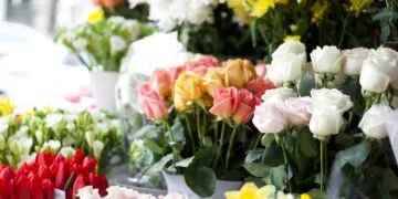 Сучасна інтерпретація флористичного етикету: як дарувати букети зі змістом