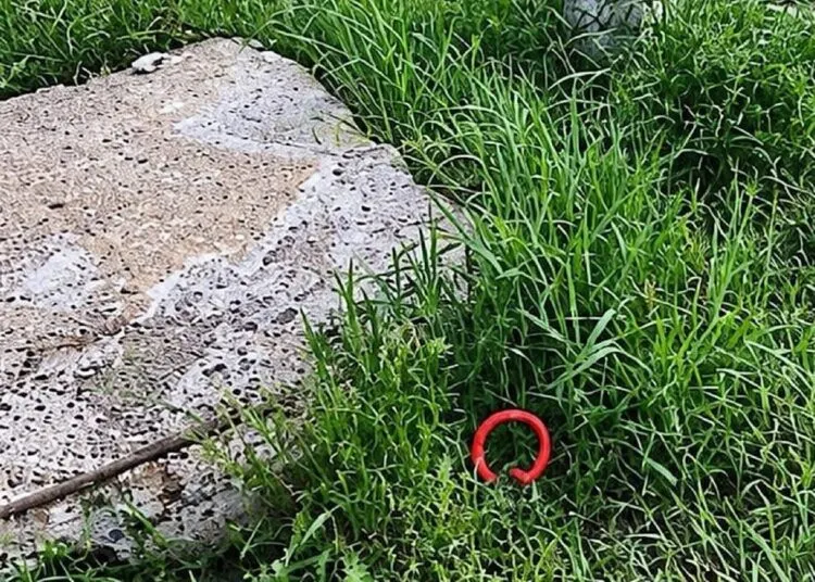 В Дніпрі викрили матір і доньку, які зберігали небезпечні психотропи