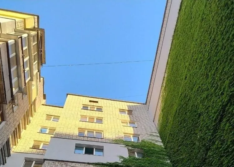 В Дніпрі показали будинок, який повністю вкритий диким виноградом