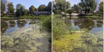 В Дніпрі показали, як занедбали Ломівський канал