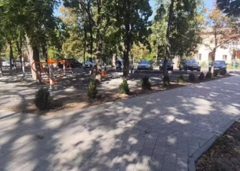 В Придніпровську вкрали кущі з новоствореного скверу