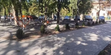 В Придніпровську вкрали кущі з новоствореного скверу