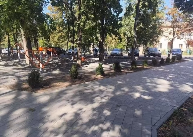 В Придніпровську вкрали кущі з новоствореного скверу
